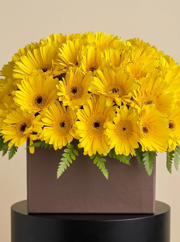 Kutuda Sarı Gerbera